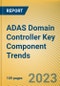 Global and China ADAS Domain Controller Key Component Trends Report, 2022 - Product Thumbnail Image