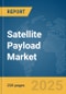 Satellite Payload Market Report 2025 - Product Thumbnail Image