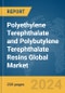 Polyethylene Terephthalate (PET) and Polybutylene Terephthalate (PBT) Resins Global Market Report 2024 - Product Thumbnail Image
