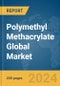 Polymethyl Methacrylate Global Market Report 2024 - Product Thumbnail Image