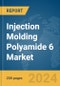 Injection Molding Polyamide 6 Market Global Market Report 2024 - Product Image