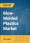 Blow-Molded Plastics Market Report 2025 - Product Thumbnail Image