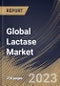 Global Lactase Market Size, Share & Industry Trends Analysis Report By Application, By Regional Outlook and Forecast, 2022-2028 - Product Thumbnail Image