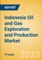 Indonesia Oil and Gas Exploration and Production Market Volumes and Forecast by Terrain, Assets and Major Companies, 2021-2025 - Product Thumbnail Image