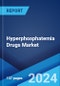 Hyperphosphatemia Drugs Market Report by Product, Dosage Form, Distribution Channel, and Region 2025-2033 - Product Thumbnail Image