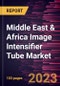 Middle East & Africa Image Intensifier Tube Market Forecast to 2028 - COVID-19 Impact and Regional Analysis - by Generation and End User - Product Thumbnail Image