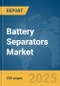 Battery Separators Market Report 2025 - Product Thumbnail Image