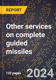 2024 Global Forecast for Other Services On Complete Guided Missiles (2025-2030 Outlook)-Manufacturing & Markets Report- Product Image