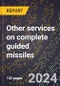 2024 Global Forecast for Other Services On Complete Guided Missiles (2025-2030 Outlook)-Manufacturing & Markets Report - Product Image