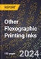 2024 Global Forecast for Other Flexographic Printing Inks (2025-2030 Outlook) - Manufacturing & Markets Report - Product Image