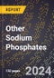 2024 Global Forecast for Other Sodium Phosphates (Including Mono- and Tribasic) (2025-2030 Outlook) - Manufacturing & Markets Report - Product Thumbnail Image