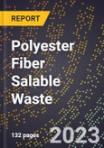 2023 Global Forecast for Polyester Fiber Salable Waste (2024-2029 Outlook)- Manufacturing & Markets Report- Product Image