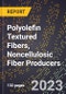 2023 Global Forecast for Polyolefin Textured Fibers, Noncellulosic Fiber Producers (2024-2029 Outlook)- Manufacturing & Markets Report - Product Thumbnail Image