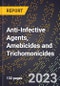 2023 Global Forecast for Anti-Infective Agents, Amebicides and Trichomonicides (2024-2029 Outlook)- Manufacturing & Markets Report - Product Thumbnail Image