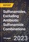 2023 Global Forecast for Sulfonamides, Excluding Antibiotic Sulfonamide Combinations (2024-2029 Outlook)- Manufacturing & Markets Report - Product Thumbnail Image