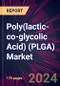 Poly(lactic-co-glycolic Acid) (PLGA) Market 2024-2028 - Product Image