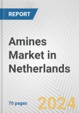 Amines Market in Netherlands: Business Report 2024- Product Image