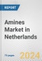 Amines Market in Netherlands: Business Report 2024 - Product Thumbnail Image