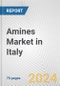 Amines Market in Italy: Business Report 2024 - Product Thumbnail Image