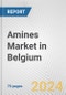 Amines Market in Belgium: Business Report 2024 - Product Thumbnail Image