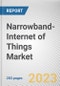 Narrowband-Internet of Things Market By Component, By Deployment mode, By Application, By Industry Vertical: Global Opportunity Analysis and Industry Forecast, 2021-2031 - Product Thumbnail Image