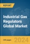 Industrial Gas Regulators Global Market Report 2024 - Product Thumbnail Image