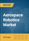 Aerospace Robotics Market Report 2025 - Product Thumbnail Image