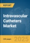 Intravascular Catheters Market Report 2025 - Product Thumbnail Image