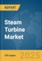 Steam Turbine Market Report 2025 - Product Thumbnail Image