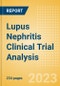 Lupus Nephritis Clinical Trial Analysis by Trial Phase, Trial Status, Trial Counts, End Points, Status, Sponsor Type and Top Countries, 2023 Update - Product Thumbnail Image