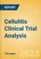 Cellulitis Clinical Trial Analysis by Trial Phase, Trial Status, Trial Counts, End Points, Status, Sponsor Type and Top Countries, 2023 Update - Product Thumbnail Image