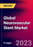 Global Neurovascular Stent Market Size, Share & Trends Analysis 2023-2029 MedCore Includes: Traditional Neurovascular Stents, Flow Diversion Stents, and 1 more- Product Image