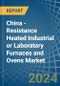 China - Resistance Heated Industrial or Laboratory Furnaces and Ovens - Market Analysis, Forecast, Size, Trends and Insights - Product Image