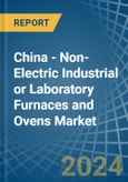 China - Non-Electric Industrial or Laboratory Furnaces and Ovens - Market Analysis, Forecast, Size, Trends and Insights- Product Image