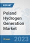 Poland Hydrogen Generation Market: Prospects, Trends Analysis, Market Size and Forecasts up to 2030 - Product Thumbnail Image