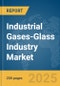 Industrial Gases-Glass Industry Market Report 2025 - Product Thumbnail Image