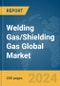 Welding Gas/Shielding Gas Global Market Report 2024 - Product Thumbnail Image