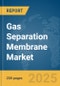 Gas Separation Membrane Market Report 2025 - Product Thumbnail Image