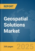 Geospatial Solutions Market Report 2025- Product Image