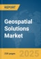 Geospatial Solutions Market Report 2025 - Product Thumbnail Image