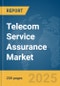 Telecom Service Assurance Market Report 2025 - Product Thumbnail Image