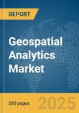 Geospatial Analytics Market Report 2025- Product Image