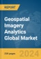 Geospatial Imagery Analytics Global Market Report 2024 - Product Image