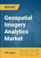 Geospatial Imagery Analytics Market Report 2025 - Product Image