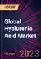 Global Hyaluronic Acid Market 2023-2027 - Product Thumbnail Image