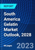 South America Gelatin Market Outlook, 2028- Product Image