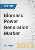 Biomass Power Generation Market by Technology (Combustion, Gasification, Anaerobic Digestion, Pyrolysis), Feedstock (Agricultural Waste, Forest Waste, Animal Waste, Municipal Waste), Fuel (Solid, Liquid, Gaseous) and Region - Forecast to 2028- Product Image