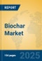 Biochar Market Insights 2025, Analysis and Forecast to 2030, by Manufacturers, Regions, Technology, Application, Product Type - Product Image