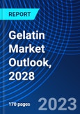 Gelatin Market Outlook, 2028- Product Image