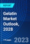 Gelatin Market Outlook, 2028 - Product Thumbnail Image